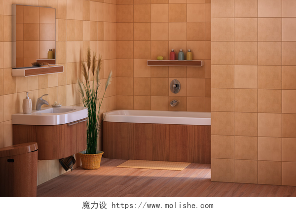 棕色实木浴室浴室